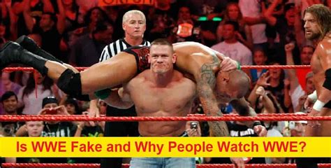 wwe is fake why watch it|is the wwe rigged.